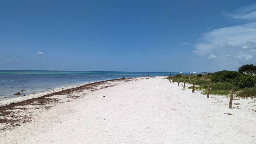 MIA_2023-08-11 14-00-14_PXL_20230811_180014233